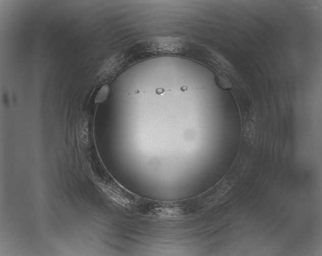 X0000052610552200507011230