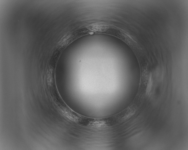 X0000052610554200507011230