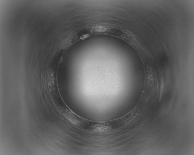 X0000052610555200507011230