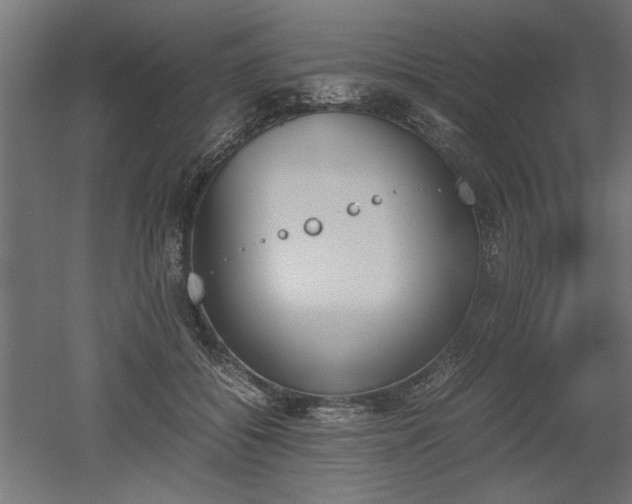 X0000052610556200507011230