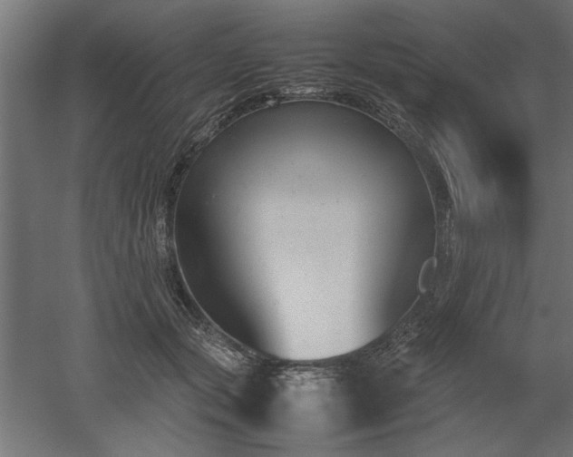 X0000052610557200507011230