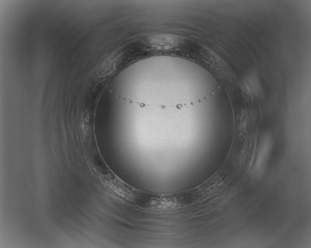 X0000052610559200507011230