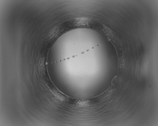 X0000052610560200507011230