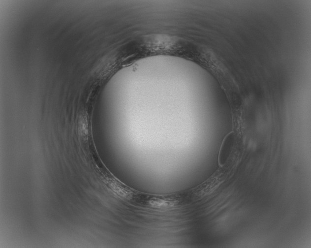 X0000052610561200507011230