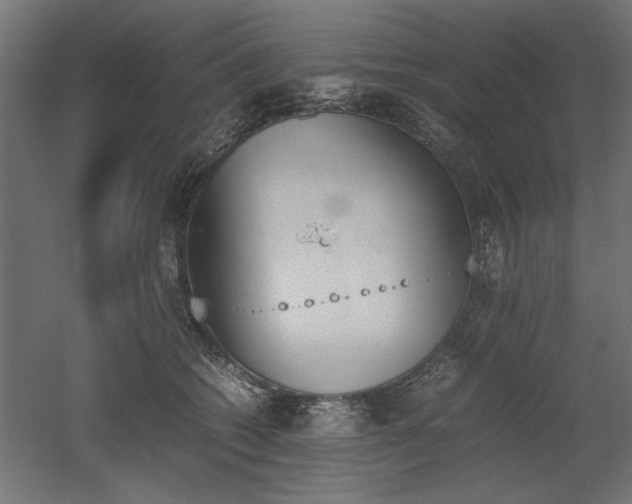 X0000052610562200507011230