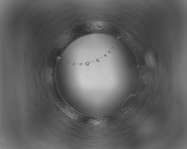 X0000052610563200507011230