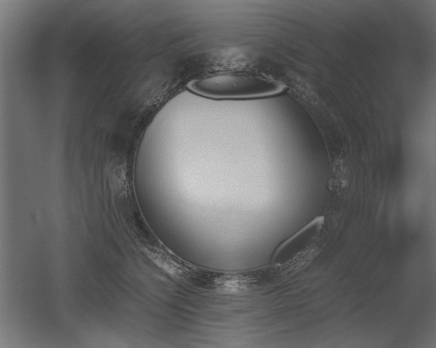 X0000052610564200507011230