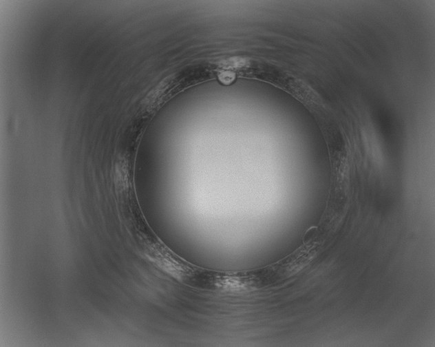 X0000052610565200507011230