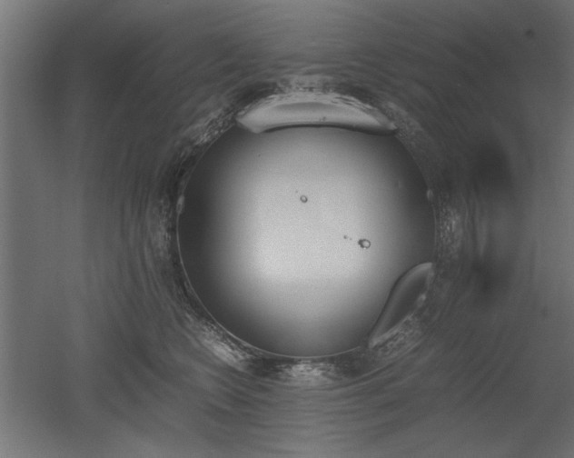 X0000052610566200507011230