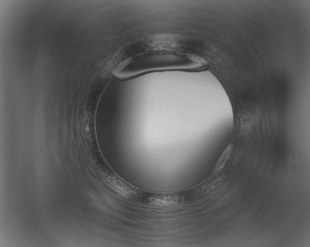 X0000052610567200507011230