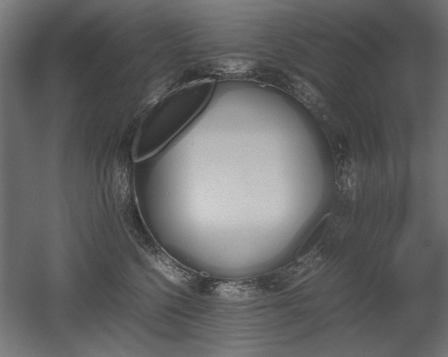 X0000052610568200507011230