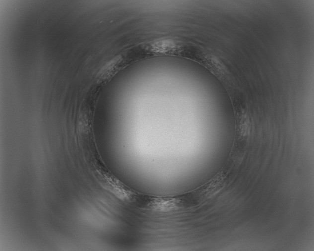 X0000052610569200507011230