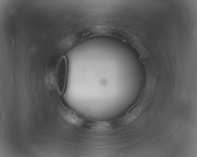 X0000052610576200507011230