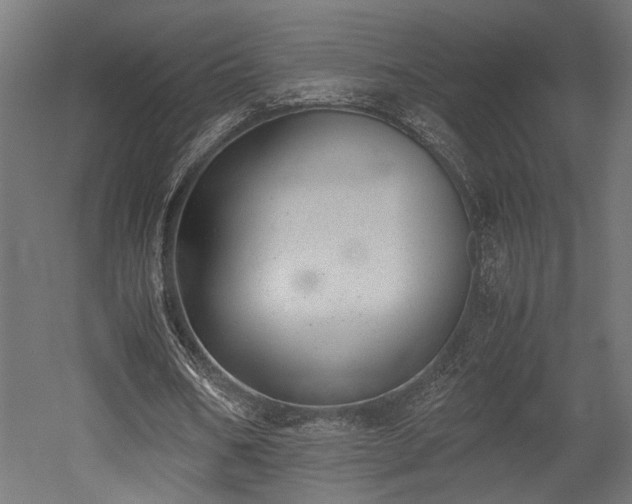 X0000052610578200507011230