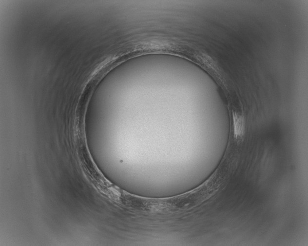 X0000052610579200507011230