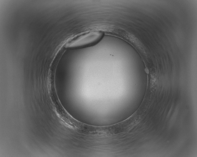 X0000052610580200507011230