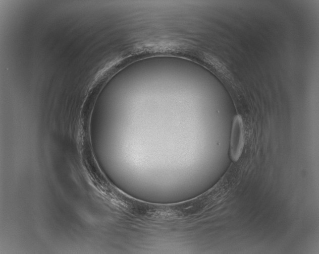 X0000052610583200507011230