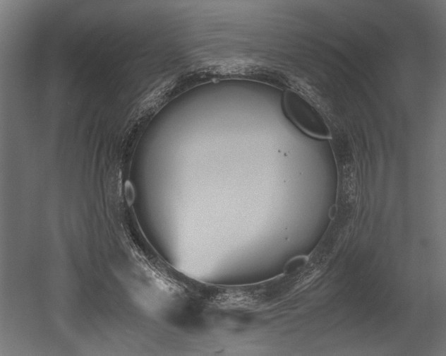 X0000052610589200507011229