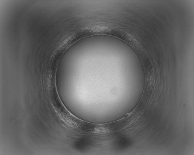 X0000052610591200507011229