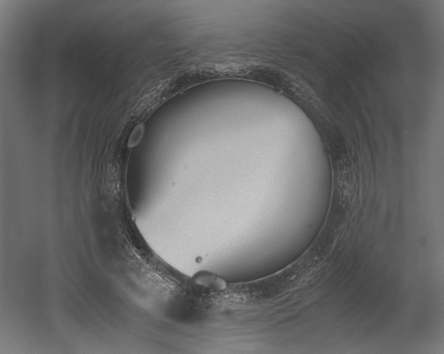 X0000052610593200507011229