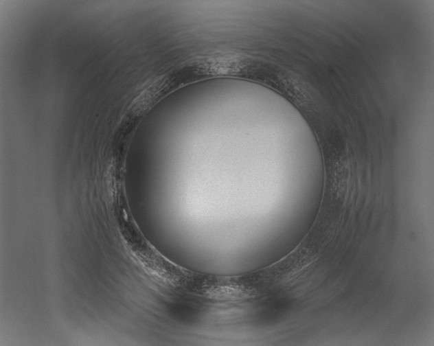 X0000052610594200507011229