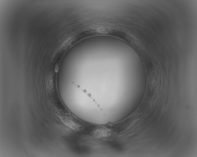 X0000052610595200507011229