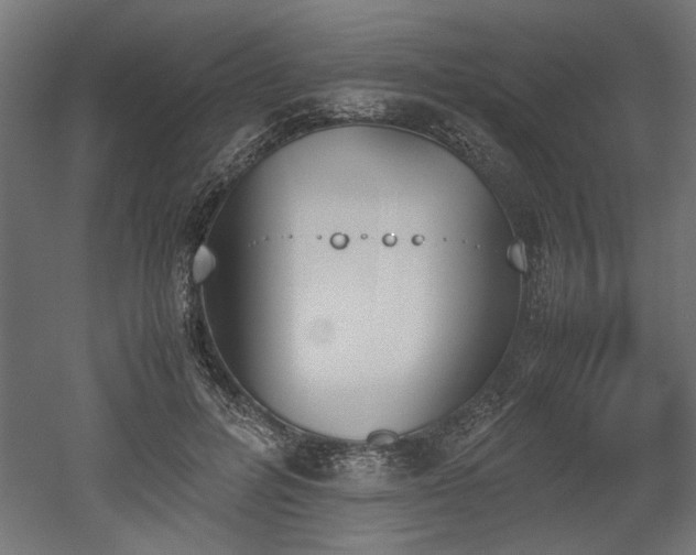 X0000052610600200507011229