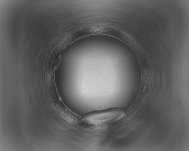 X0000052610601200507011229