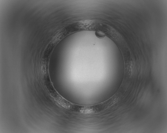 X0000052610602200507011229