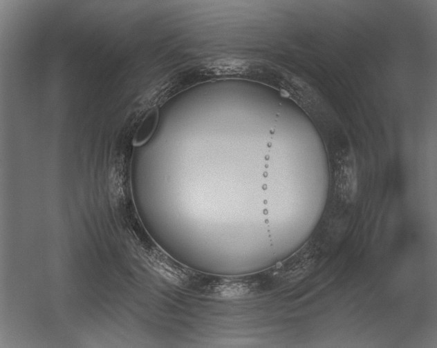 X0000052610604200507011229