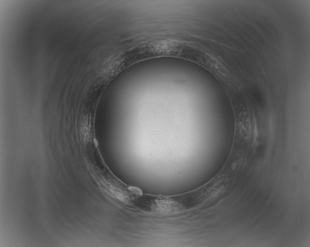 X0000052610605200507011229