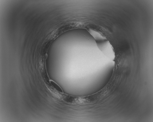 X0000052610607200507011229