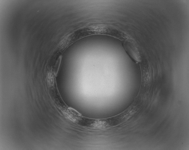 X0000052610609200507011229