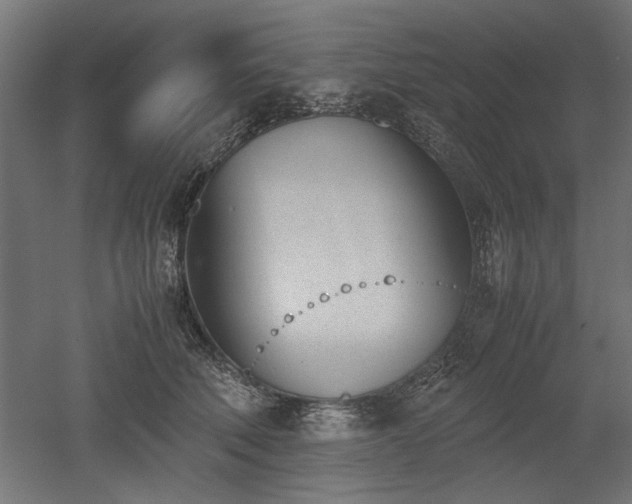 X0000052610610200507011229