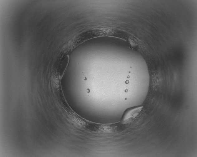 X0000052610613200507011229