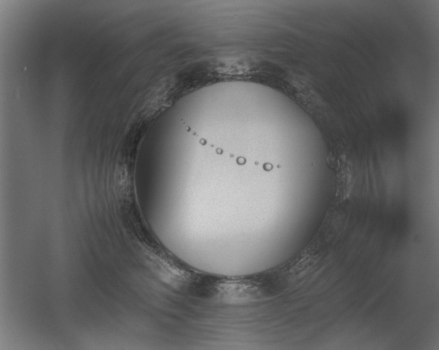 X0000052610614200507011229