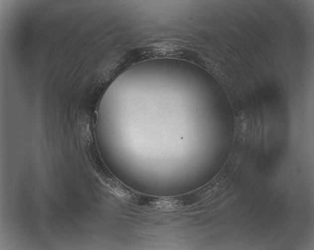 X0000052610615200507011229