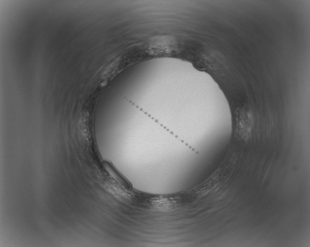 X0000052610616200507011229