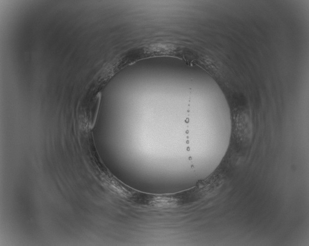 X0000052610617200507011229