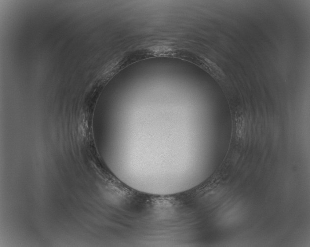 X0000052610618200507011229