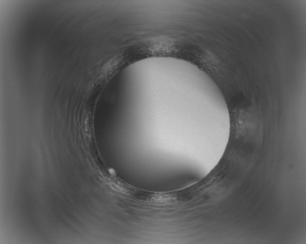 X0000052610619200507011229