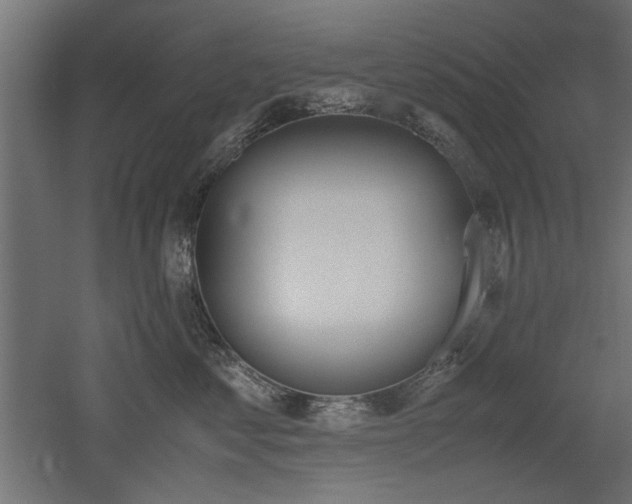 X0000052610621200507011229