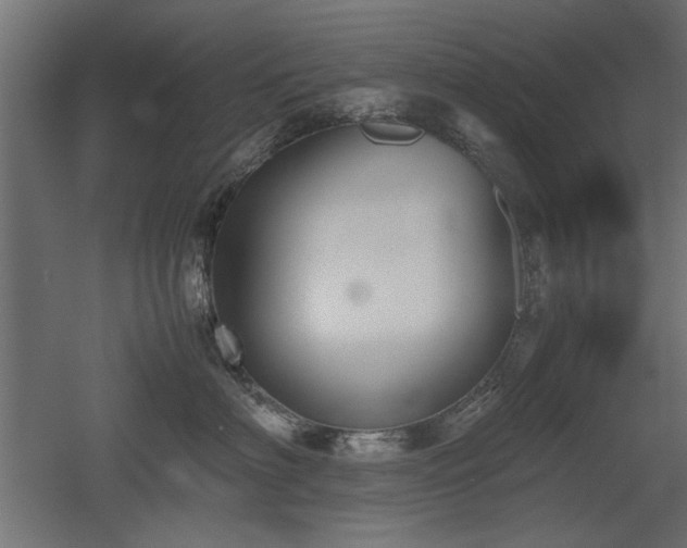 X0000052610622200507011229