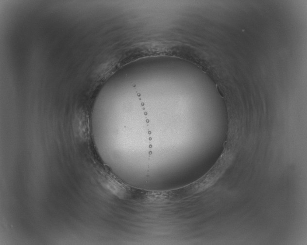 X0000052610624200507011229