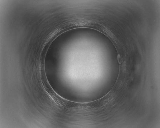 X0000052610626200507011228