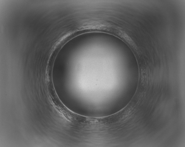 X0000052610628200507011228