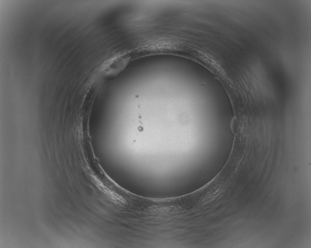 X0000052610629200507011228