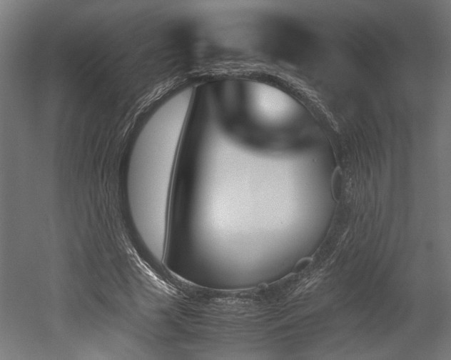 X0000052610633200507011228