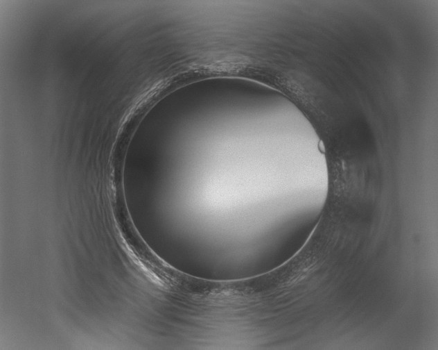 X0000052610634200507011228