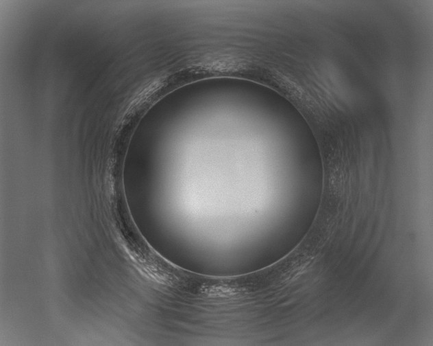 X0000052610635200507011228